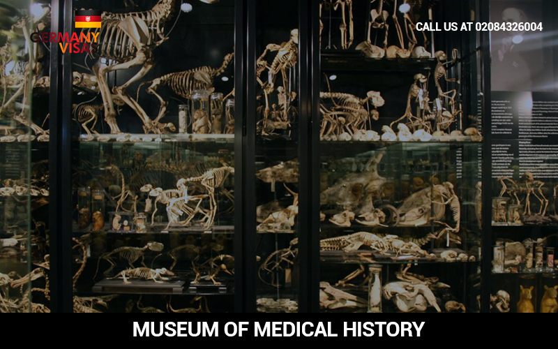 museum of medical history